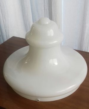 Tulipa opalina antigua